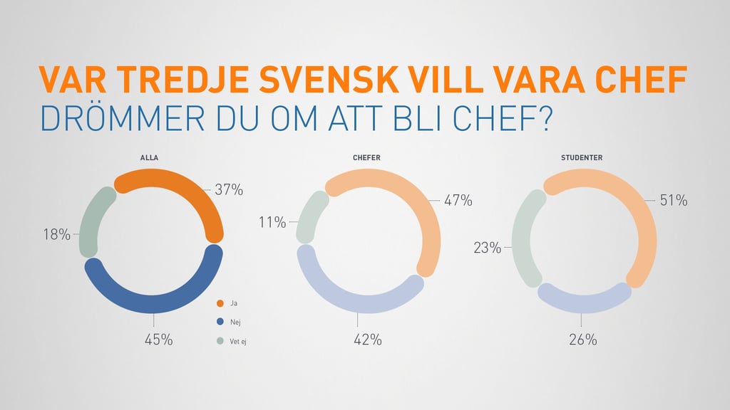 MP_Dromjobbet_Block_chef1